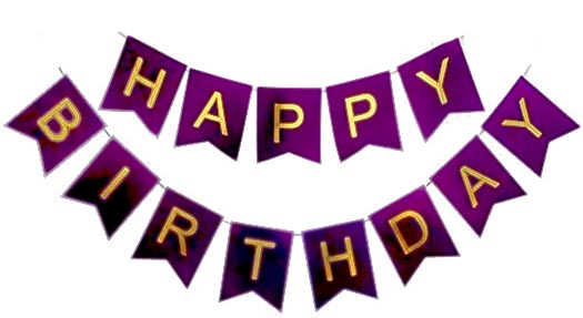 Purple Happy Birthday Small Jointed Banner